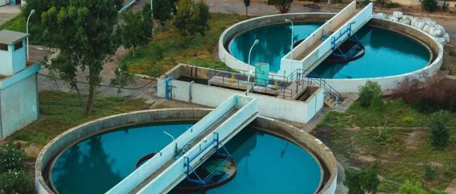 给水排水 |污水处理付费模式变革：“按效付费”模型构建与实践