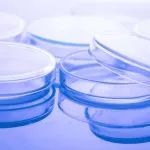 《食品科学》：刘小平教授、刘文丽副教授：短促生乳杆菌PL6-1全基因组分析及其安全性和抗氧化性评价