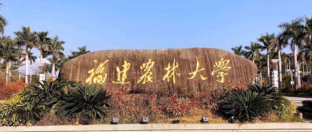 6081万元！祝贺，福建农林大学！