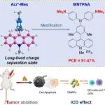 JACS：去泛素化酶靶向嵌合体介导的肿瘤抑制性E3连接酶蛋白稳定用于癌症治疗
