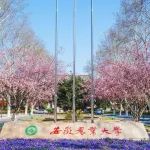 历史性突破！祝贺，安徽农业大学！