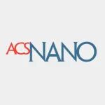 牛津大学宗伟、马普所周亚洲ACS Nano：接枝聚合物构筑界面共价桥梁——驱动定向电荷转移提升锌空气电池氧还原性能
