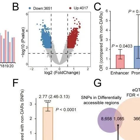 Cancer Res | 华中科技大学王志华等团队揭示一种将铁死亡与前列腺癌精确治疗联系起来的增强子变异
