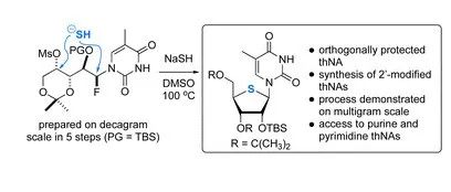 A Flexible and Scalable Synthesis of 4′-Thionucleosides