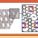 【Angew. Chem.】用于选择性气体吸附的具有亲水和疏水结构域的稳定超微孔金属-有机框架