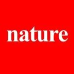 双「国家杰青」领衔！山东大学/浙江大学Nature Nanotech. | 纳米工程化锂宿主碳/氧化锌复合电极材料
