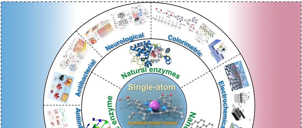 Small | 单原子酶：从进化见解、精准工程到生物医学应用的突破