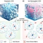 阴阳离子别抱团！浙大陆俊团队Angew新作解析局部高浓新思路