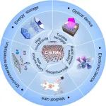 河南师范大学《ACS Nano》：综述！含杂原子的碳材料在多功能非催化应用中的应用