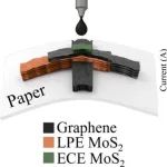 ACS Nano：用于可持续电子的纸上二维材料印刷二极管和电路