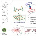 JACS：通过层级式限制构建具有高发光效率的NIR-II纳米晶体以用于成像引导的急性肠缺血手术