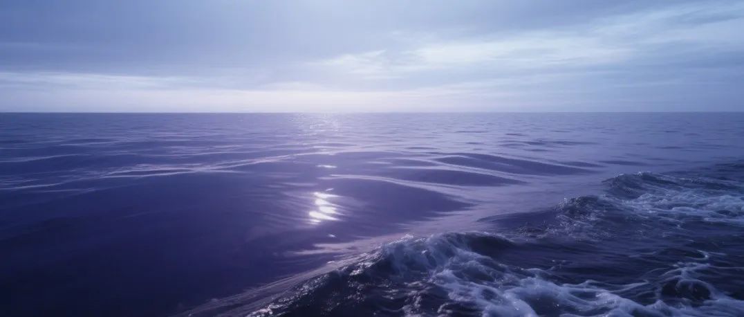 Geology：海洋化学的变迁与生命的应对之道
