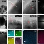 重庆理工大学吕文晏Nano Energy：高倍率稳定循环LiFePO4