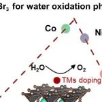 Carbon Future丨卤化物钙钛矿光催化水氧化研究新进展：理论计算指引高效催化剂设计