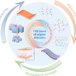 南工大材料学院 RSER：增强VDF基全有机电介质的储能性能 - 化学和物理策略