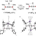 南开崔春明/朱里昭课题组JACS：负离子型二硼杂丁三烯（B=C=C=B）