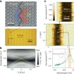 研究前沿：光子晶体-金刚石 | Nature Nanotechnology