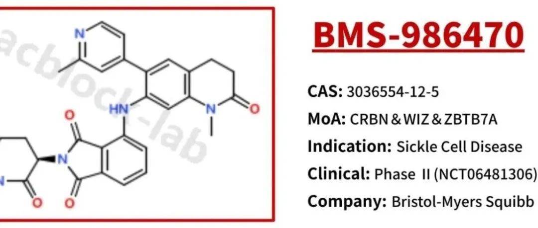 BMS-986470：供应与合成｜潜在首创双降解剂｜活性分子专栏