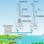 四川大学刘百仓团队SPT：利用O3-BAC-UF高效去除饮用水源中的DBP——性能、途径和微生物群落结构