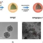 Bioact Mater丨四川大学钱志勇等团队研究发现Jahn-Teller自推进纳米机器人可用于肿瘤治疗