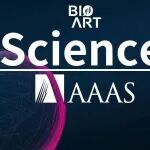 Science丨AD免疫治疗新成果——转铁蛋白受体(TfR)靶向型Aβ抗体脑内递送更高效更安全