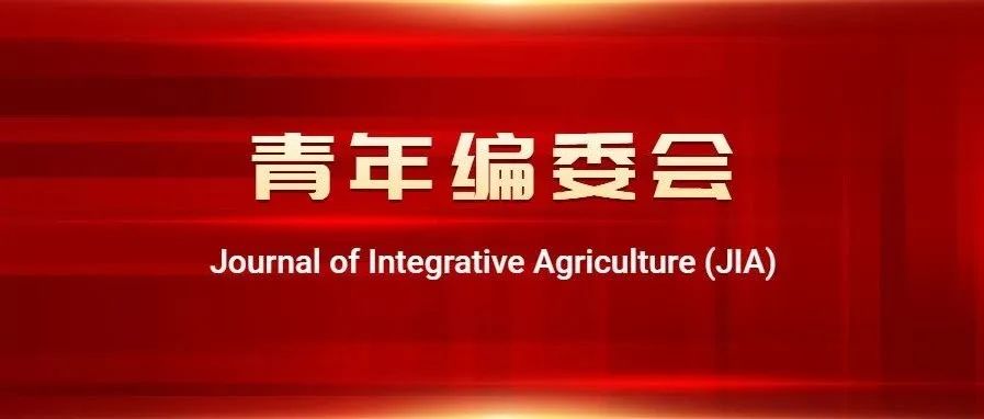 JIA 第二届青年编委入选名单
