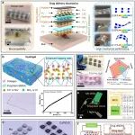 澳科大刘一明/港城大于欣格等 ACS Nano：面向痤疮治疗的自驱动可拉伸给药电子系统