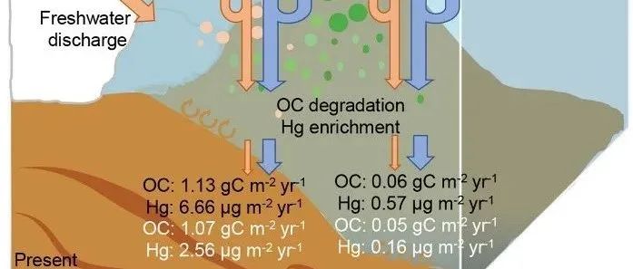【EEH评述论文】北京大学研究人员最新研究揭示：全球变暖正在引发极地碳-汞循环脱钩，打破南极生态系统的关键平衡