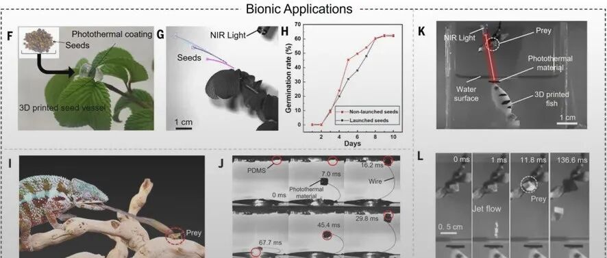 浙江农林大学戴朝卿教授、UCLA贺曦敏教授 Science: 一种基于空化效应的高效发射机制
