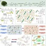 Nature Commun：可逆生物基粘合剂使闭环工程复合材料成为可能
