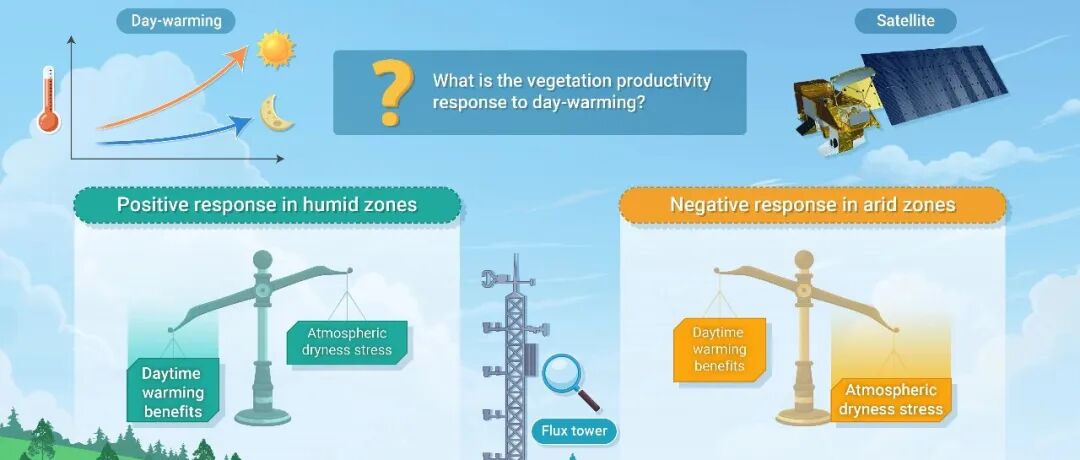The Innovation Geoscience | 昼夜温差变化如何影响植被固碳