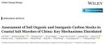 Global Change Biology:中国滨海盐沼土壤有机碳与无机碳储量评估及其关键机制解析