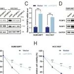 Cancer Res | 汕头大学崔玉坤等人研究发现PCBP2通过上调PARP1表达促进BRCA突变乳腺癌奥拉帕尼耐药