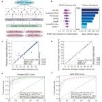 Cell Res｜中国农业科学院左二伟等：用AI模型高精度表征胞嘧啶脱氨酶