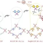 北大翟茂林团队和合作者JACS：高价金属含氧酸盐的辐射催化还原回收