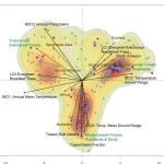 Plant Diversity | 成都生物所尹华军团队研究解析全球兰花共生真菌群落的影响因素