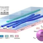 Nature Communications | 集成光学高维非阿贝尔几何相位