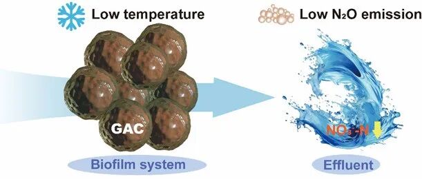 中科院生态中心刘刚、中海大杨祥宇等Microbiome: GAC驱动种间电子传递强化低温低碳生物膜脱氮协同N2O减排
