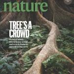 《自然》封面故事：活立木的微生物组︱2025年8月28日刊