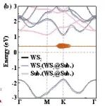 Nano Res.[探测]│华南师范大学周旭:衬底与二维材料间的范德华间隙调控二维材料激子效应