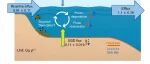 Global Biogeochemical Cycles 高亮文章！厦门大学国重室鲍红艳副教授课题组科研进展