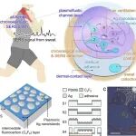 Nature Commun：全柔性时表流纳米等离子体贴片，用于汗液中无标记代谢物分析