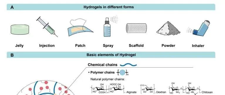 水凝胶，最新Chemical Reviews综述！