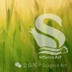Plant cell | 北京大学焦雨铃团队发现提高小麦产量的新方法