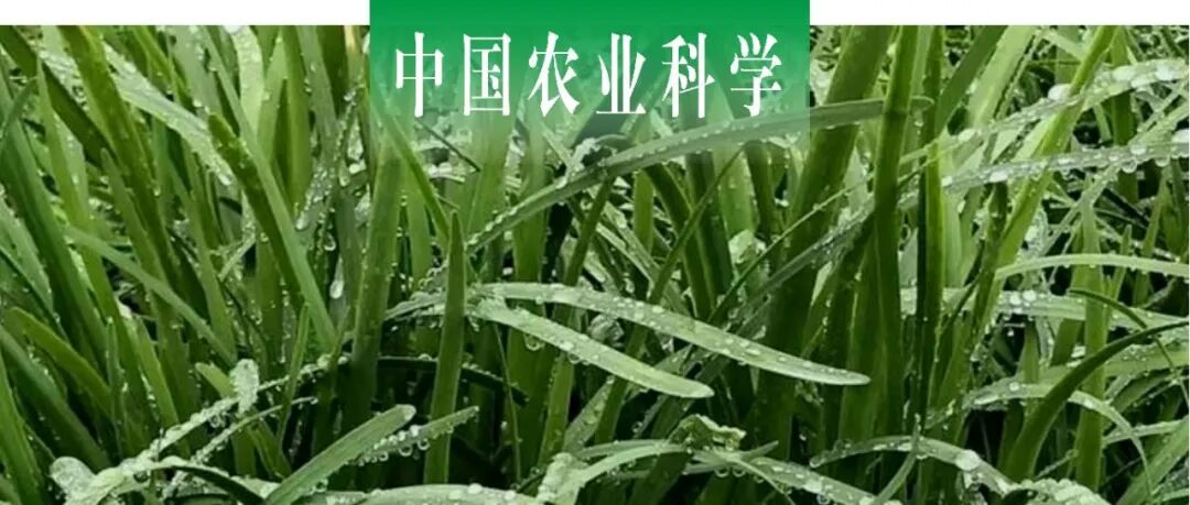 中国农业科学｜青岛农业大学植物医学学院郑长英课题组探析蛹期干旱胁迫对韭菜迟眼蕈蚊交配及虱螨脲敏感性的影响