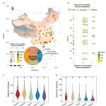 西北农林科技大学韦革宏/焦硕教授团队《One Earth》最新成果！发现农业系统打破土壤真菌的传统生物地理屏障