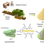 Nature Commun：将废木材上级回收为增值的室温磷光材料