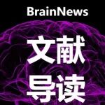 NRR综述：华中科大刘丹/朱铃强教授团队总结一氧化氮在血管性痴呆中的功能及机制