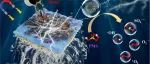 浙江师范大学林红军、李仁杰团队WR｜新型磁诱导 Co@NC 电化学膜活化过一硫酸盐，速净且廉，释机理析潜力
