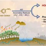 上海交大强志民团队发文揭示水中硝基酚与生物质燃烧棕碳的自由基化学机制